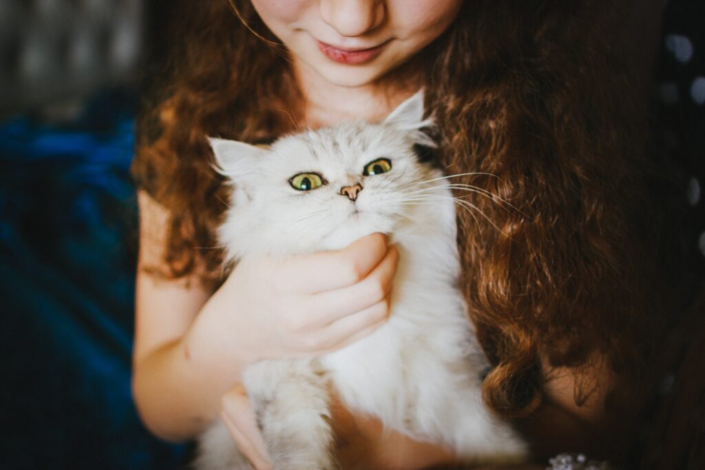 are cats good pets for kids